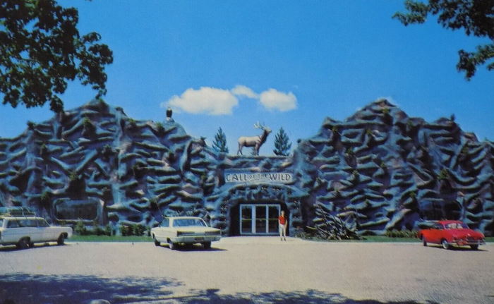 Call of the Wild - Old Postcard (newer photo)